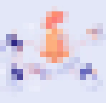 NG体育